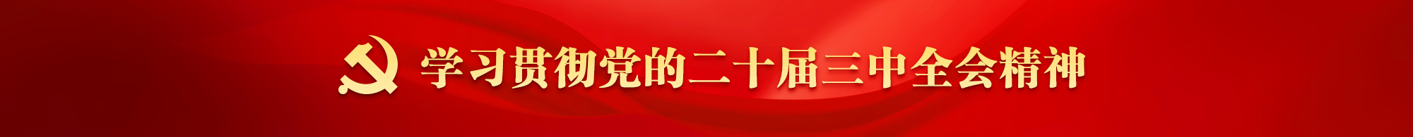 三中全会